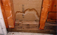 Water stain on basement wall